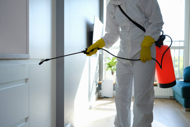 Best Toxic Mold Removal  in Pass Christian, MS