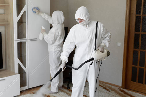 Certified Mold Removal in Pass Christian, MS