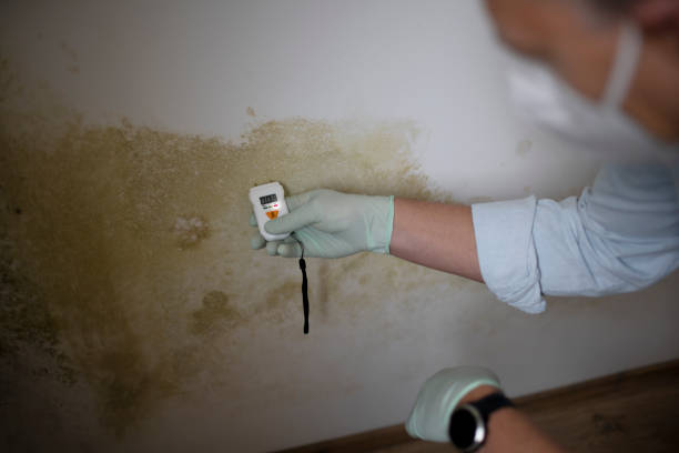 Best Mold Testing  in Pass Christian, MS